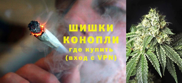 дживик Протвино
