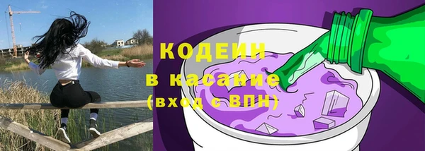 прущие крисы Рославль